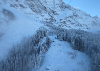 Top of Germany - Forest & Snow